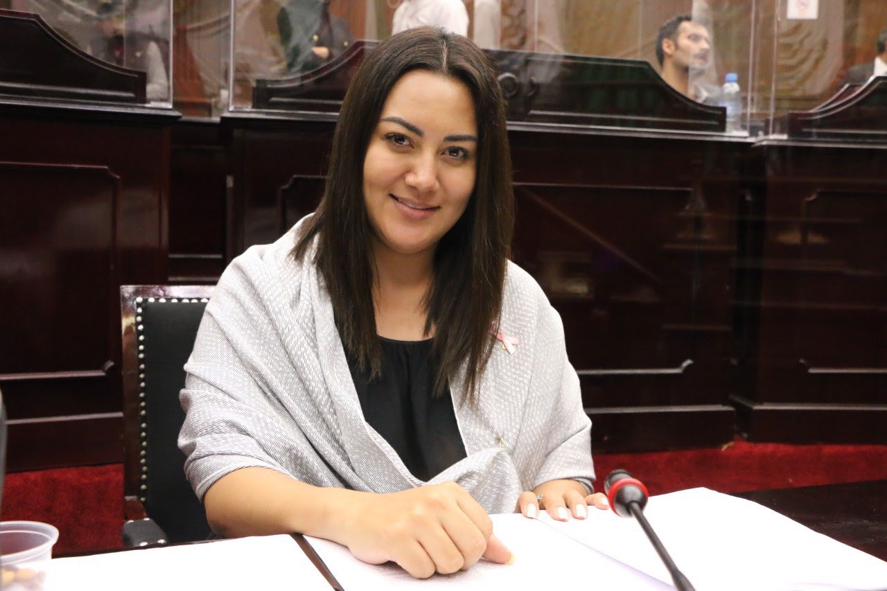 En conformación de comisiones legislativas deben privilegiarse los perfiles: Mónica Valdez