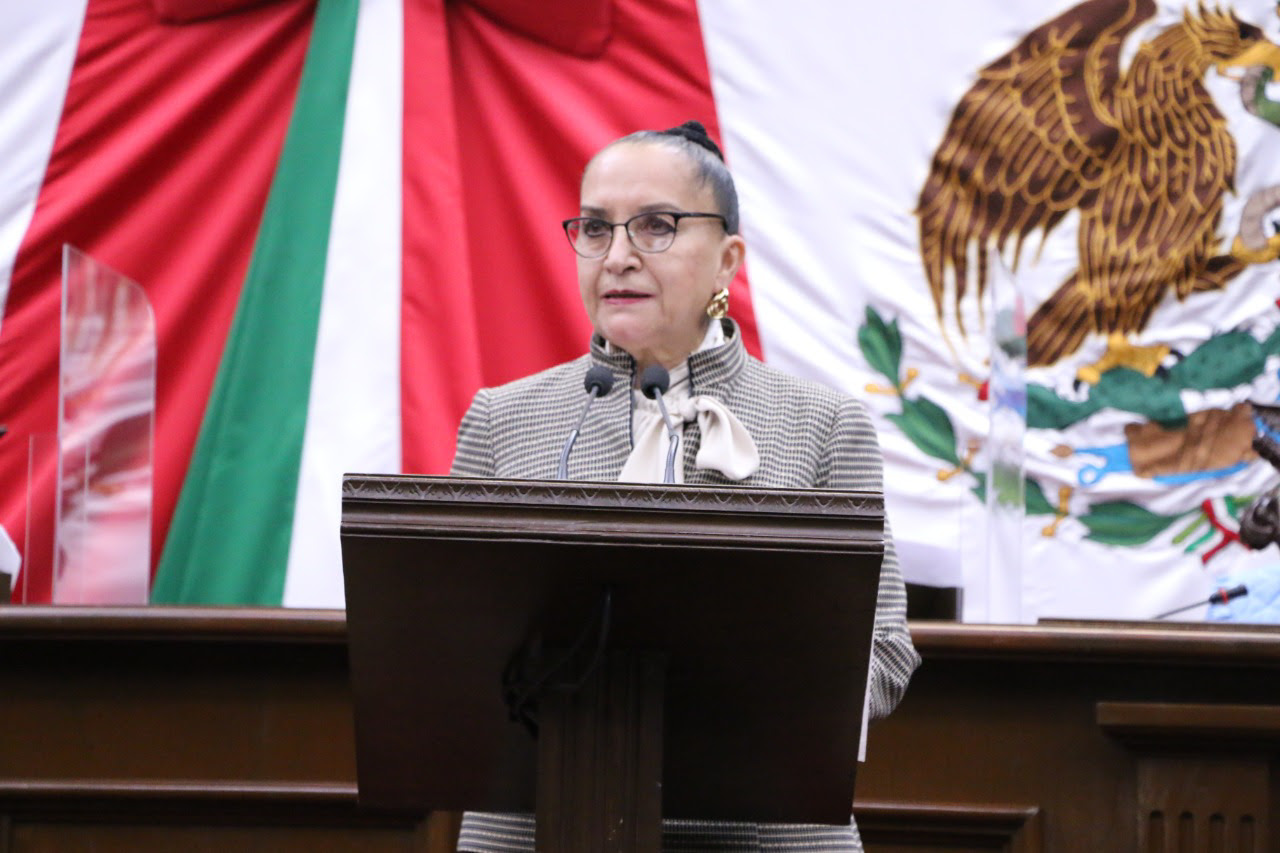 Julieta Gallardo propone que Representación Parlamentaria cuente con certeza jurídica y lineamientos