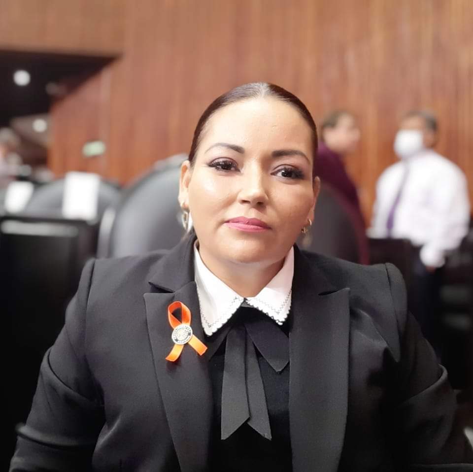 Diputada Federal Adriana Candelario Imparable con su Trabajo Legislativo