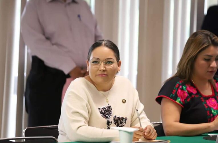 Diputada Federal Luz Adriana Candelario se Reúne con Funcionarios del INE Para Analizar el Proyecto de Distritación Electoral Nacional