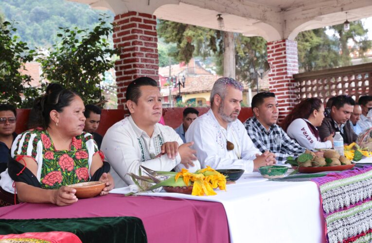 Sentencia de SCJN sobre autogobiernos sólo aplica a Tangamandapio, aclara Gobierno de Michoacán